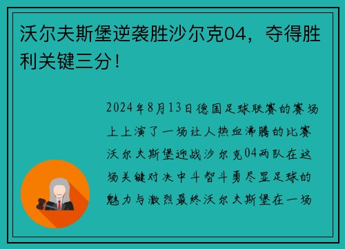 沃尔夫斯堡逆袭胜沙尔克04，夺得胜利关键三分！