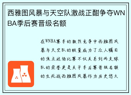 西雅图风暴与天空队激战正酣争夺WNBA季后赛晋级名额